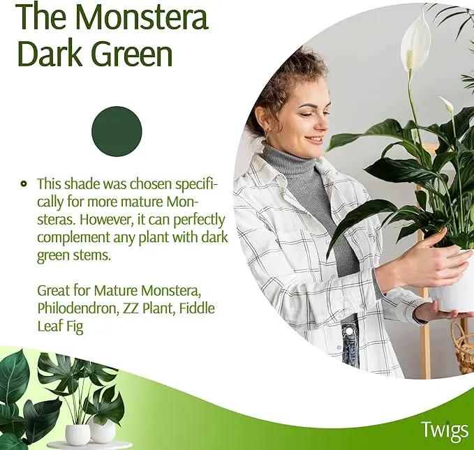 Plant Support Stakes, Stem Holder Structures for Indoor & Outdoor Use, Garden Accessories for Climbing & Potted Plants, Trellis Alternative - Monstera (Dark Green), 10 Pack, 22" L, Original by GreenHaven Gardens
