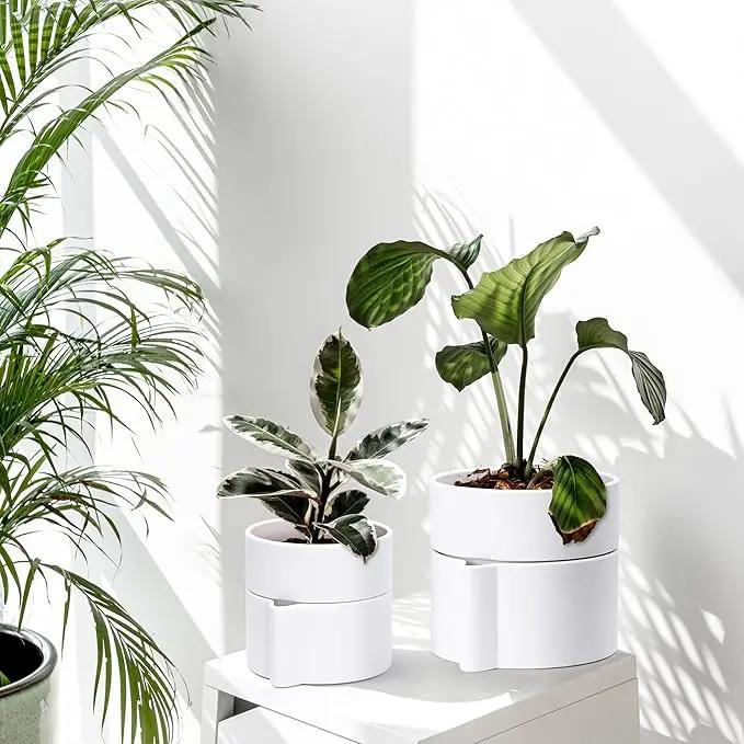 Phoenix Vine 6.5 Inch Self-Watering Planter Pot with Terracotta Insert, Deep Water Reservoir, and Ceramic-Alike BPA-Free Plastic Pot for Plant, Modern Planter for Houseplants, White, 53-A-S-1 by GreenHaven Gardens