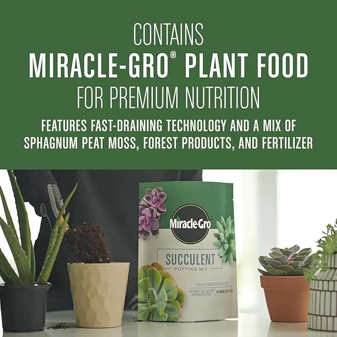 Miracle-Gro Succulent Potting Mix, For Indoor Succulents, Aloe Vera and More, Made with Miracle-Gro Plant Food, 4 qt by GreenHaven Gardens