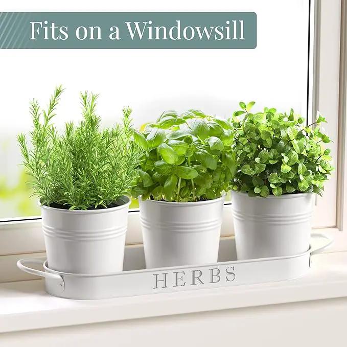 Barnyard Designs Indoor Herb Garden Planter Set with Tray, Metal Windowsill Plant Pots with Drainage for Outdoor or Indoor Plants, Set/3 (White) by GreenHaven Gardens
