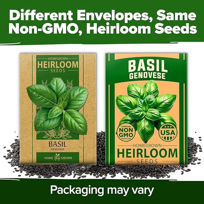 HOME GROWN 𝗨𝗦𝗔 𝗣𝗥𝗘𝗠𝗜𝗨𝗠 Genovese Basil Seeds Pack 1,750+ High Germination 𝗡𝗢𝗡-𝗚𝗠𝗢 Heirloom Seeds (Ocimum basilicum) Herb Seeds for Planting Indoor & Outdoor Gardening, for Culinary Use by GreenHaven Gardens