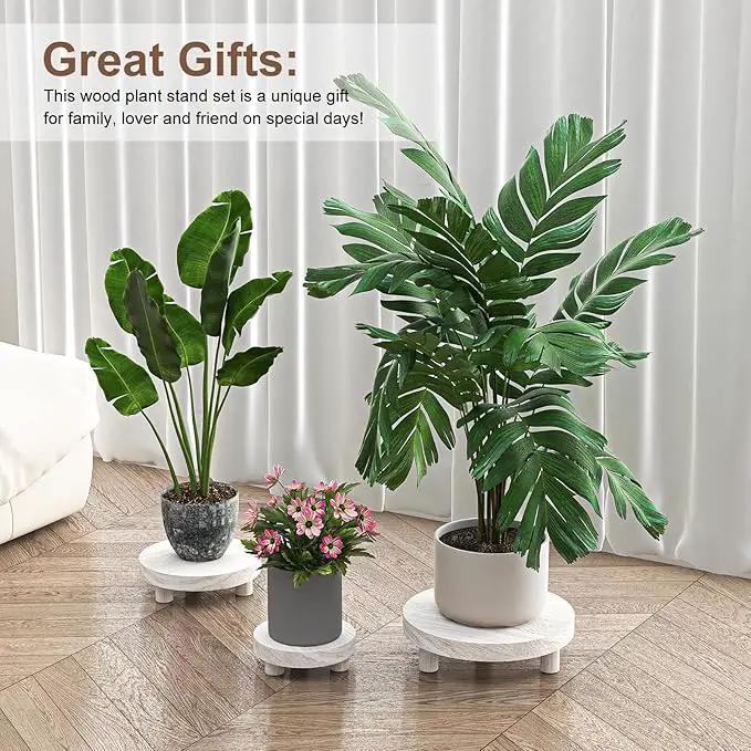 3 Pcs Wood Plant Stand Indoor Outdoor, Round Wood Riser for Decor 6/8/10" Wooden Stool Display Stand Flower Pot Holder Small Planter Tray Modern Potter Decorative for Desktop Counter Room by GreenHaven Gardens