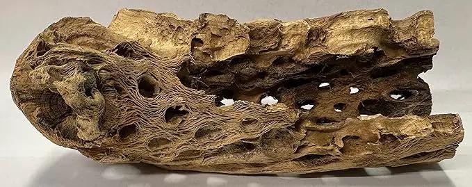 Natural Cholla Wood Chunk Large Air Plant Display Holders Individually Unique Decorative Stands or Holder (Cholla Chunk Large) by GreenHaven Gardens