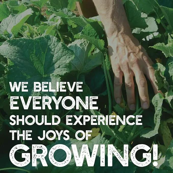 Crimson Clover Seeds (Coated) - 5 Lb - Garden Cover Crop, Non-GMO, Open Pollinated, Perennial, Heirloom - Coated for Easy Planting by GreenHaven Gardens