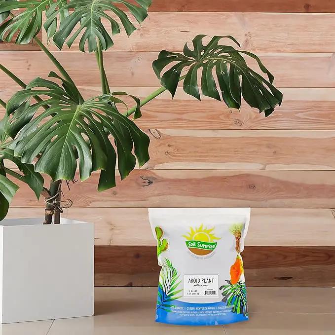 Aroid Plant Potting Soil Mix (8 Quarts), for Pothos Devil's Ivy, ZZ Plant, Chinese Evergreen, Dumb Cane, Philodendron, Syngonium, Alocasia, Colocasia Etc. by GreenHaven Gardens