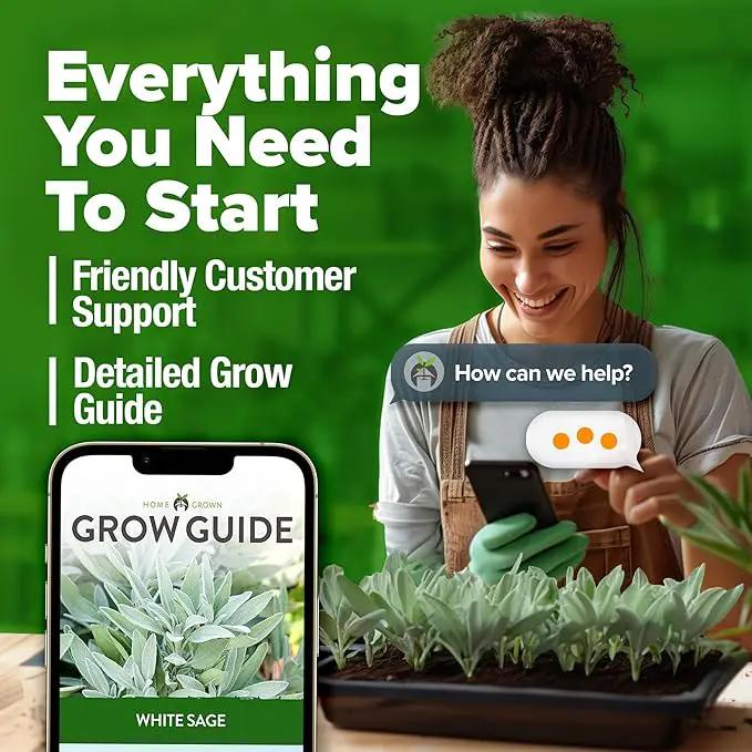HOME GROWN White Sage Seeds 646 Pack 𝗡𝗢𝗡-𝗚𝗠𝗢, 𝗨𝗦𝗔-𝗦𝗢𝗨𝗥𝗖𝗘𝗗 Heirloom Seeds - Grow Aromatic Sage Plants for Your Herb Seeds Garden with Sage for Planting Outdoor or Indoor (Salvia apiana)