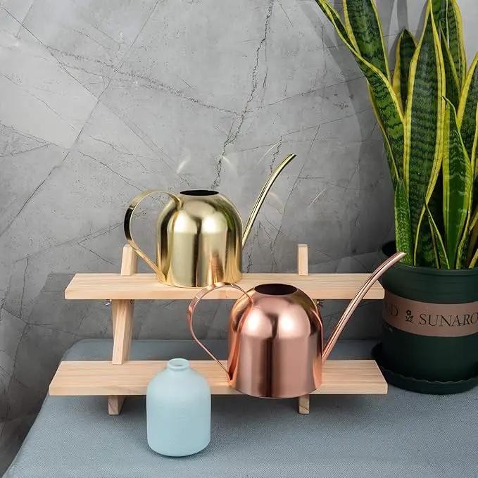 IMEEA Indoor Watering Can for House Plants 33oz/1L Stainless Steel Watering Can with Long Spout (Rose Gold) by GreenHaven Gardens