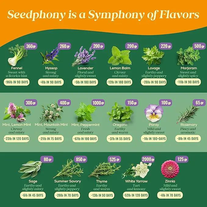 35 Medicinal & Tea Herb Seeds Variety Pack - 16,285+ Non-GMO Heirloom Herbs Seeds for Planting Indoor & Outdoor: Lavender, Rosemary, Echinacea, Mint, Catnip, Basil - Gardening Seed Packets by GreenHaven Gardens