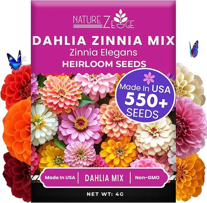 NatureZ Edge Zinnia Seeds for 2025 Planting Outdoors, Over 550 Flower Seeds, 4g, Non GMO Made in USA, Bulk Semillas De Flores para Sembrar, Dahlia Mix, Easy to Grow Zinnia Seed Mix by GreenHaven Gardens