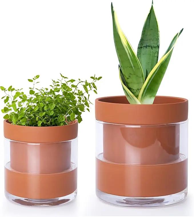 Phoenix Vine 4 Inch 6 Inch Self Watering Planter Pots, Terracotta Clay Pots with Glass Reservoir for Indoor Plants, Herbs, Flowers, 52-A-G-46 by GreenHaven Gardens