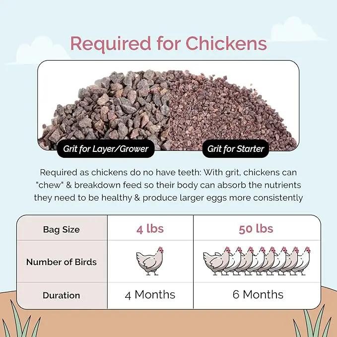 Chick Grit for Baby Chicks - Chickens Age 0-8 Weeks, 100% Natural Mineral Chick Grit Quartzite, Poultry Grit Digestive Aid, USA Mined, 4 lbs by GreenHaven Gardens