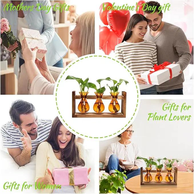Plant Propagation Station Plant Terrarium Unique Birthday Gifts for Women Plant Lovers Home Office Decor Planter with Wooden Stand - 3 Bulb Glass Vase by GreenHaven Gardens