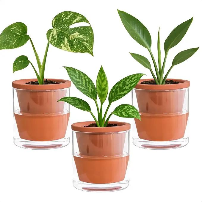 D'vine Dev 4 Inch Design Self Watering Pot for Indoor Plants, Terracotta Planter with Cylinder Glass Cup, Set of 3, 37-Z-A-1-T by GreenHaven Gardens