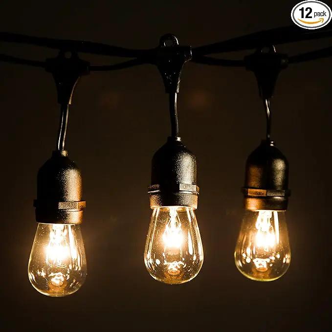 Hometown Evolution, Inc. 24 Foot E26 Outdoor Commercial String Lights with Suspended Socket for Weatherproof Heavy Duty Vintage Outside Lighting - Set of 12 S14 Clear Bulbs by GreenHaven Gardens