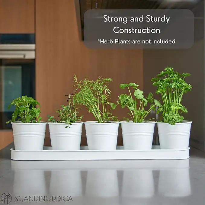 SCANDINORDICA White Herb Planter 5 Pots with Drainage Holes and Tray, Windowsill Planter, Indoor/Outdoor Herb Pots by GreenHaven Gardens