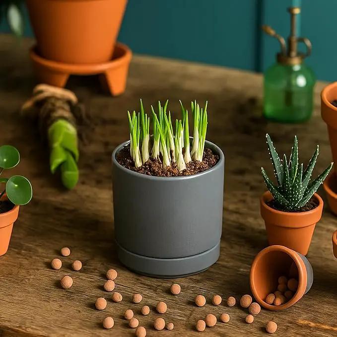 D'vine Dev Set of 4 Small Ceramic Plant Pots, 3.5 Inch Succulent Planter Pot for Plants with Drainage Hole and Saucer, Grey, 94-X-A-3 by GreenHaven Gardens