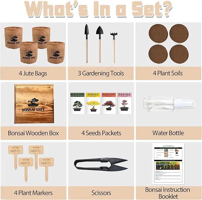 Bonsai Garden Starter Kit, 4 Seeds Growing into Sakura, Ginkgo, Black Pine, Red Flame, Including Complete Gardening Tools & A Wooden Box with Cover, Christmas Gifts for Men Women Beginners by GreenHaven Gardens