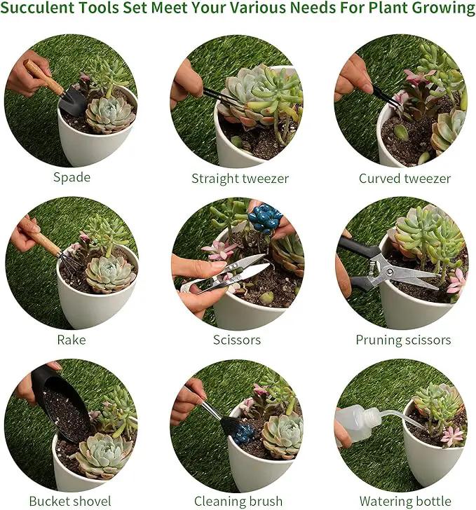 11Pcs Succulent Tools,Mini Garden Tools,Succulent Watering Tool as Plant Accessories,Succulent Gardending Hand Tools Kit for Seedling Soil,Caring Succulent,Houseplant,Gifts for Woman (No Flowerpot) by GreenHaven Gardens
