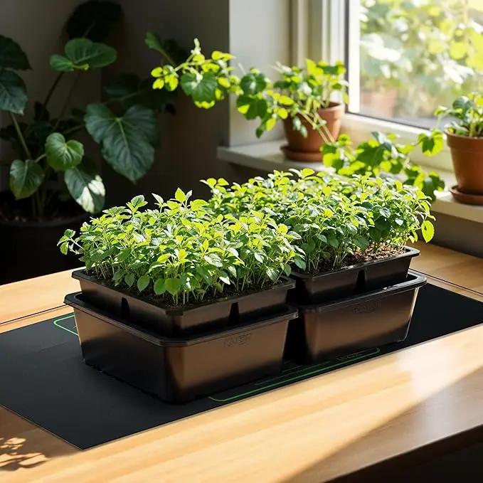 iPower Durable Seedling Heat Mat Warm 48" x 20" - 2 Pack Hydroponic Heating Pad Waterproof for Seed Starting Greenhouse and Germination by GreenHaven Gardens