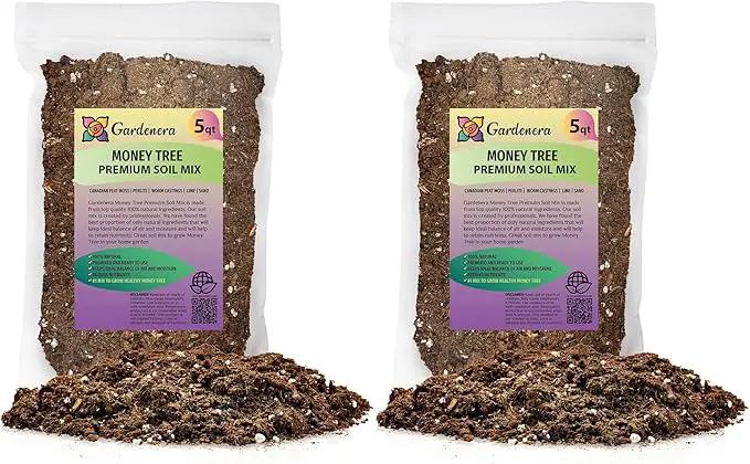 Money Tree Potting Soil - 10 Quart - Soil Mix for Planting or Repotting Guiana Chestnut, Soil Blended to Properly Grow Money Tree Plants (2 Bags of 5 Quart) by GreenHaven Gardens