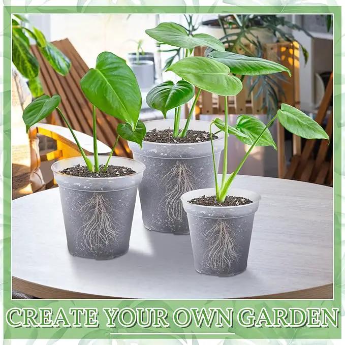 Vesici Large Size Clear Nursery Pots Variety Pack Plant Pots with Drainage Holes Planters for Indoor Plants Flexible Transparent Plastic Plant Bottle Succulents(12 Pcs,6/8/10 Inch) by GreenHaven Gardens