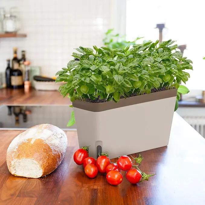 Amazing Creation Window Herb Planter Box, Vibrant Window Herb Garden, Self-Watering Rectangular Planter for Kitchen, Plants, and Succulents - Set of 3 by GreenHaven Gardens