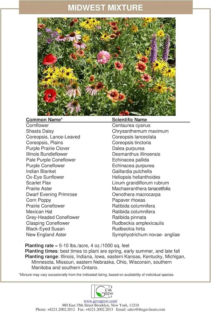 Midwest Wildflower Seeds Regional Mix - Organic, Non-GMO - 100% Pure Seed - 21 Different Wildflowers Seeds of Annual and Perennial, 1 LB Tub by GreenHaven Gardens