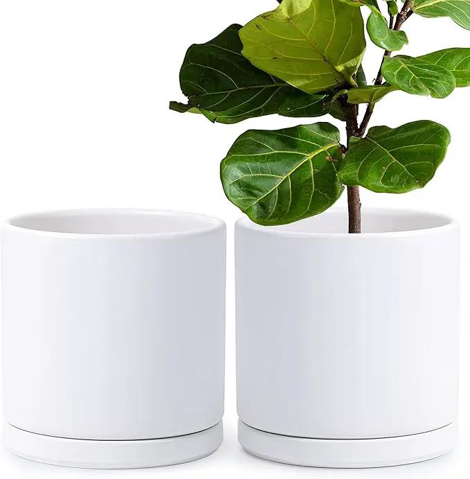 D'vine Dev Set of 2 Plants Pots, 10 Inch Ceramic Planter Pot for Plants with Drainage Hole and Saucer, White, 94-V-E-1 by GreenHaven Gardens