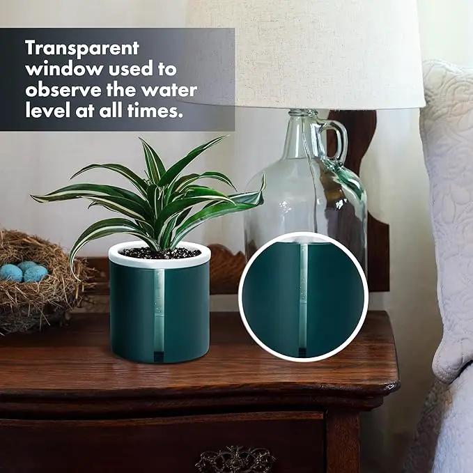 D'vine Dev 4 Inch Design Self Watering Planter for Indoor Plants, White Terracotta Pot with Teal Cylinder Glass Cup, Set of 3,37-Z-A-5-T by GreenHaven Gardens