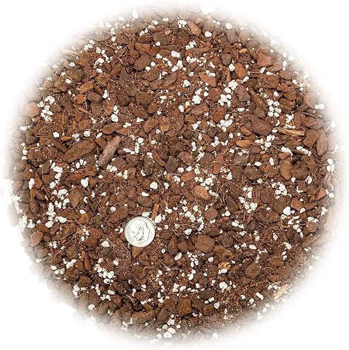 Monstera Dubia Soil Blend - Ensures Superior Aeration and Drainage for Vibrant Growth - 5 Quart by GreenHaven Gardens