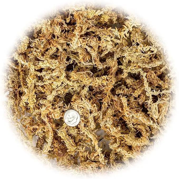 Premium Grade Sphagnum Moss by Gardenera - 20 Quart - Organic Hand Mixed New Zealand Long Fibered Sphagnum Moss Orchid - 4 Bags of 5 Quart by GreenHaven Gardens