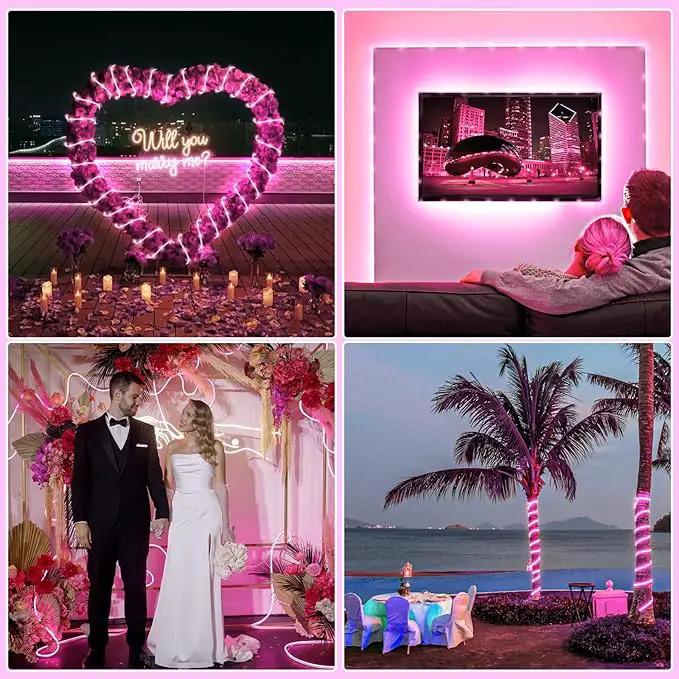 Rope Lights for Outside, 66FT 200 LED String Lights Outdoor with Waterproof 8 Modes, Flexible and Connectable Plug in Fairy Light for Indoor Patio Pool Garden Party Wedding Decorations, Pink by GreenHaven Gardens