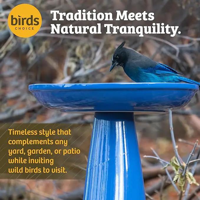 Birds Choice Ohio Stoneware Bird Bath | Pedestal Bird Bath, Stable Locking Top | Weather-Resistant Ceramic Clay, Glazed Finish | Outdoor Garden & Patio Decor | 22" H x 17" D, Summer Blue by GreenHaven Gardens