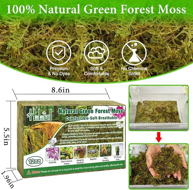 Halatool 0.75LB Green Forest Moss for Plant Indoor- 18QT Natural Orchid Moss Sphagnum for Potting Mix, Real Dry Moss for Repotting Potted Plants Orchids Succulent Carnivorous Cactus Pothos by GreenHaven Gardens