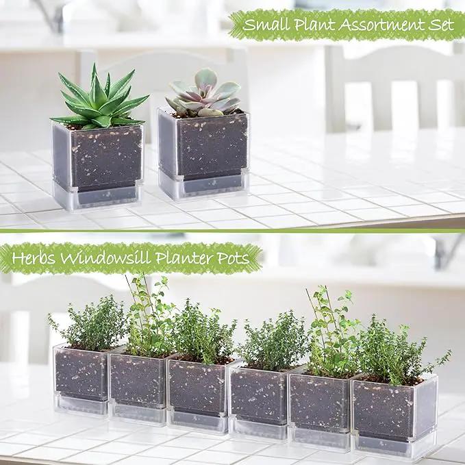 4 Inch Herb Planter Pot, Plastic Planter with Drainage Holes and Saucer, Modern Decorative Gardening Pot for Indoor Plants, Flowers, Herbs, Succulents, Clear, Set of 6, 76-Y-D-6 by GreenHaven Gardens