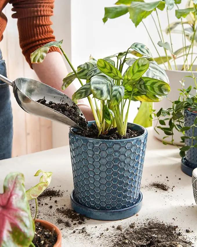 LE TAUCI Ceramic Pots for Plants, 5.5 Inch Plant Pots with Drainage and Saucer, Indoor Plant Pots for Succulents, Snake Plants, Cactus, and More, Set of 2, Reactive Glaze Blue by GreenHaven Gardens