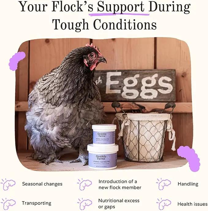 Grubbly Farms Vitamins + Electrolytes Water Supplement for Chickens (30 Day) by GreenHaven Gardens
