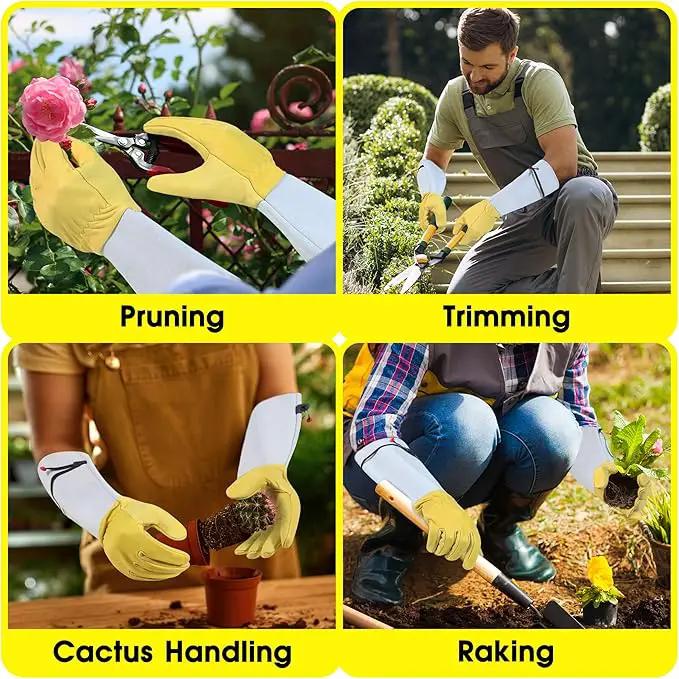 HANDLANDY Rose Gloves for Men & Women, Long Leather Gardening Gloves Thorn Proof, Best Garden Gifts & Tools for Gardener (Yellow-beige, Medium (Pack of 1)) by GreenHaven Gardens