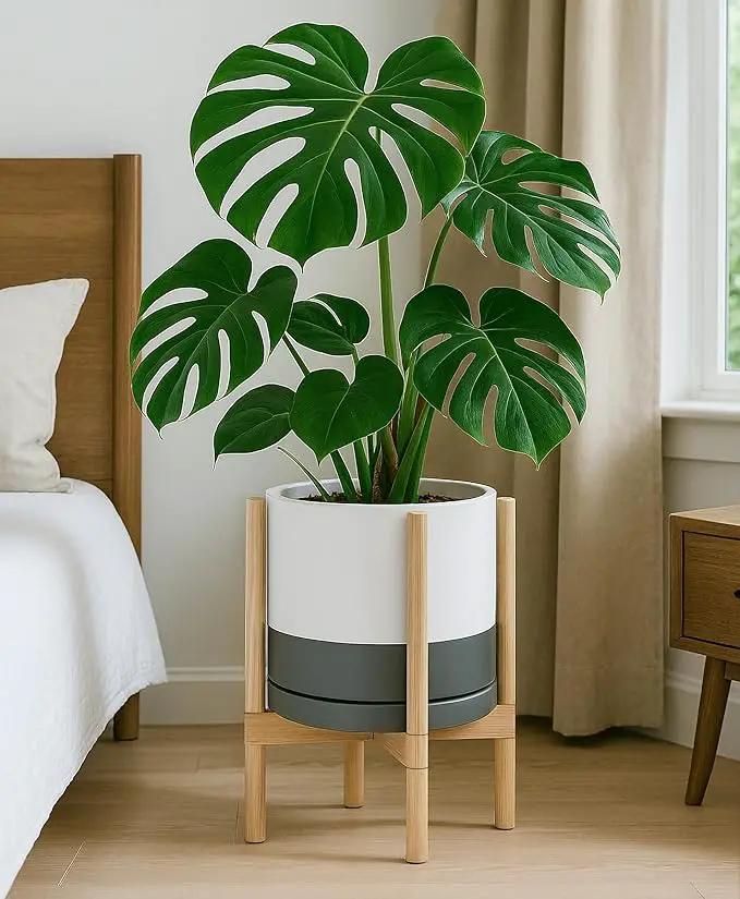 D'vine Dev Ceramic Planter with Natural Stand - 12 Inch Modern Round Flower Pot with Wood Planter Holder, White/Grey, 55-B-J-6 by GreenHaven Gardens