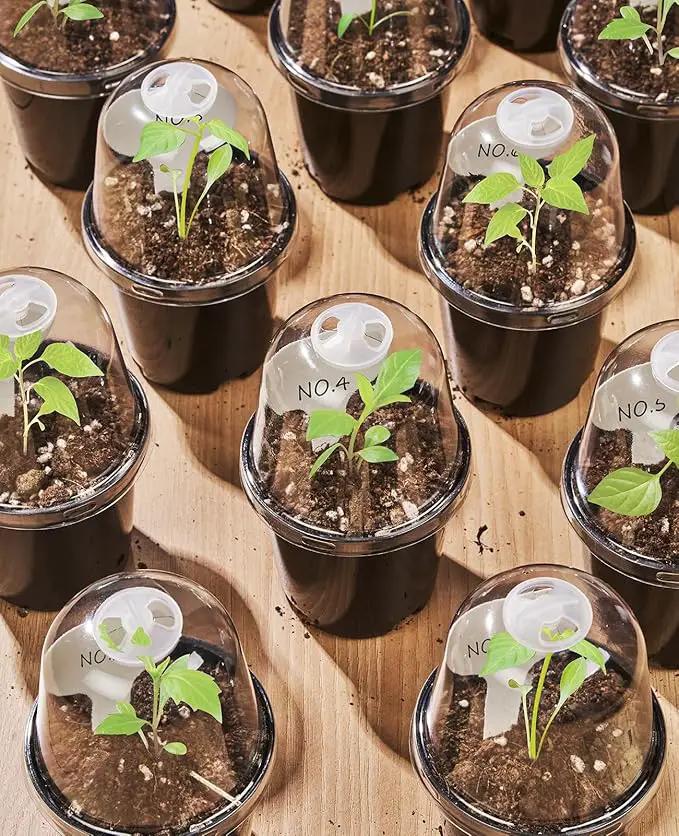 homenote Nursery Pots for Plants,3 Inch Plant Pot for Planting with Humidity Domes Plastic Seedling with Drainage Holes Seed Starter Flower with 10 Labels Black (30 Pack) by GreenHaven Gardens