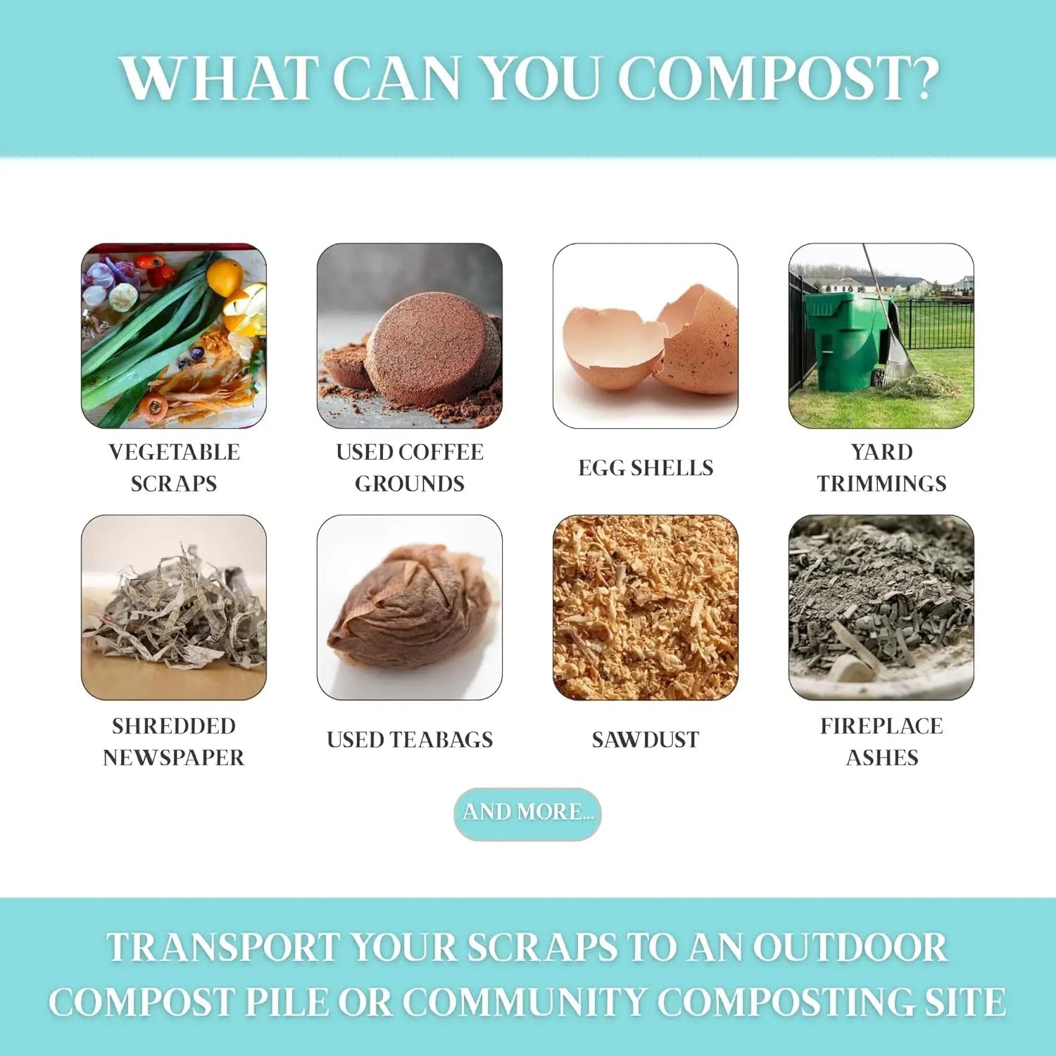Martha Stewart Indoor Compost Bin | Countertop Composting Bucket for Kitchen | .7 Gallon Capacity | Includes Filter | Plant Based Materials | Sage Green by GreenHaven Gardens