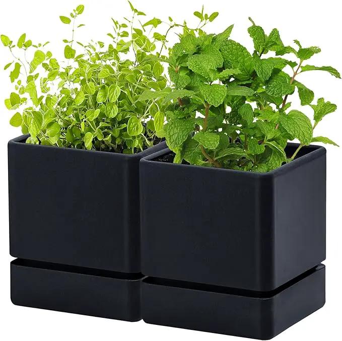 4 Inch Herb Planter Pot, Plastic Planter with Drainage Holes and Saucer, Modern Decorative Gardening Pot for Indoor Plants, Flowers, Herbs, Succulents, Black, Set of 2, 76-Y-B-2 by GreenHaven Gardens