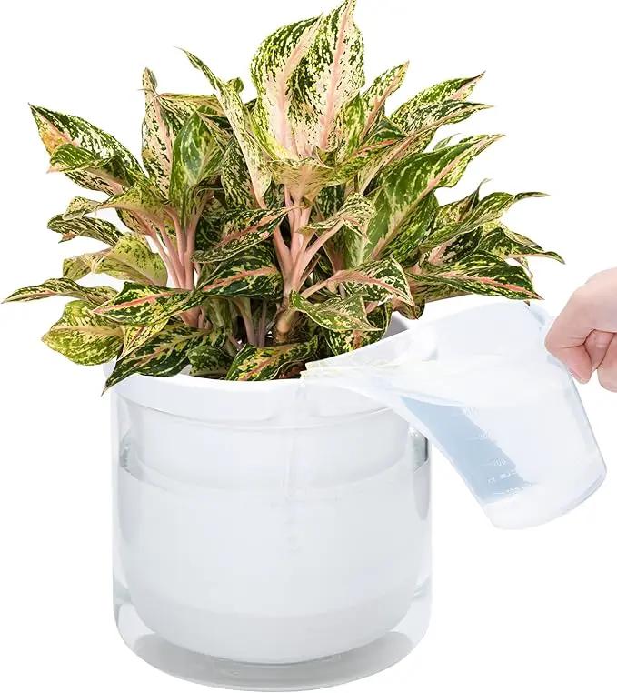 D'vine Dev 8 Inch Design Self Watering Planter for Indoor Plants, White Terracotta Pots with Cylinder Glass Cup, 37-X-C-2 by GreenHaven Gardens