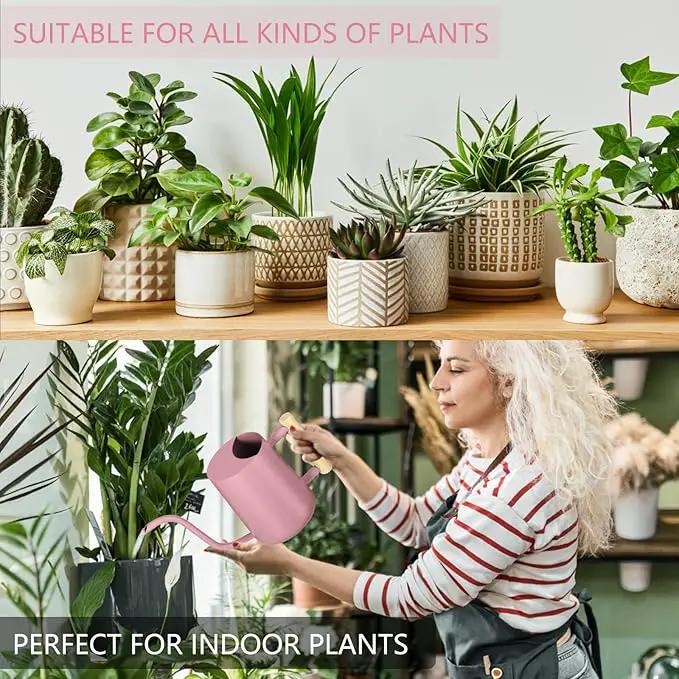 Watering Can Indoor Plants, 35oz Small Watering Can Indoor Stainless Steel Metal Watering Can Modern Decorative Watering Pot with Long Spout for Indoor House Plant Bonsai Garden Flowers (Pink) by GreenHaven Gardens