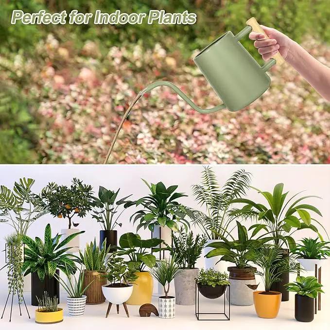 Watering Can Indoor Plants, 35 oz/1000 ml Metal Stainless Steel Watering Can Pot with Long Spout for Indoor House Plants Bonsai Outdoor Garden Flower Decorative (Sage Green) by GreenHaven Gardens