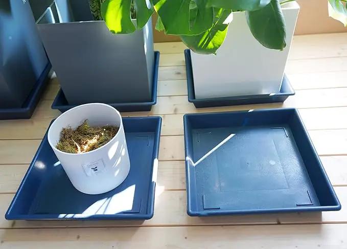Square Plant Saucer 10 Inch 5 Pack, Plant Stand Flower Pot No Holes, Plant Trays for Pots Heavy Duty Plastic Plant Saucers for Indoors Outdoors Plant Lover Gardening Gifts by GreenHaven Gardens