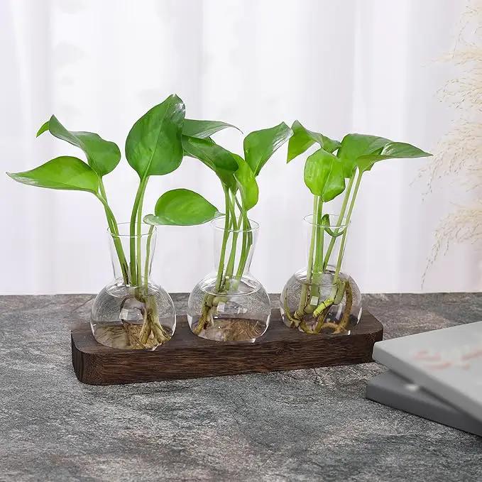 YIBOT Propagation Stations,Plant Propagation Vase,Desk Plant Terrarium with Retro Wooden Stand,Plant Lover Gifts for Women for Hydroponics Plants Home Garden Wedding Decor(3 Vase) by GreenHaven Gardens