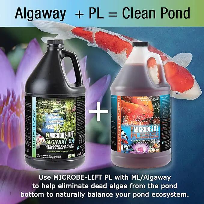 MICROBE-LIFT ALGA08 Algaway 5.4 Algae Control Treatment for Ponds and Water Gardens, Safe for Koi Fish, Goldfish, Plants, and Decorations, 8 Ounces by GreenHaven Gardens
