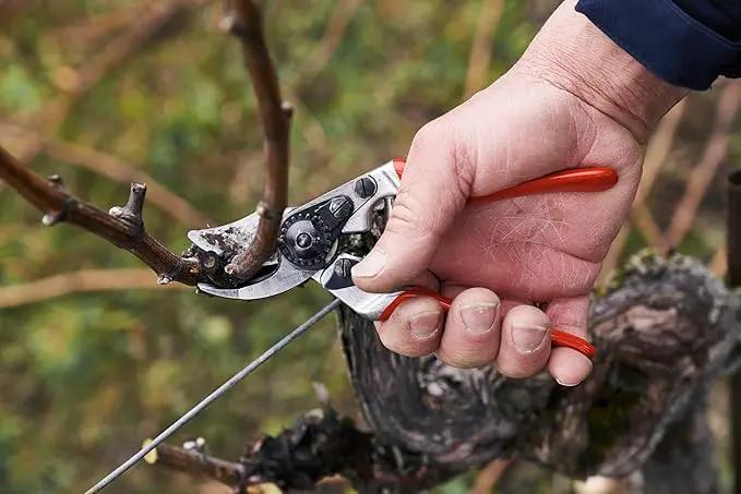 Felco F 14 Pruning Shears – 7.1" Garden Clippers for Small Hands with Bypass & Anvil Blades | Hand Pruners for Gardening | Garden Tool Cutter with Forged Alloy Steel Build, Lightweight Swiss Design by GreenHaven Gardens