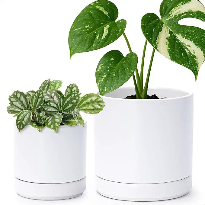 D'vine Dev 4.7 Inch & 6 Inch Ceramic Planter Pots for Plants with Drainage Hole and Saucer, Small Plant Pots Set, White, 94-G-S-1 by GreenHaven Gardens